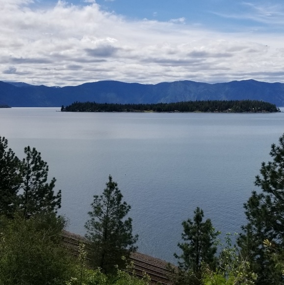 Meet your Posher, Monica - Picture 1 of 1